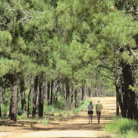 Daire Seasun Vacation - Ocean