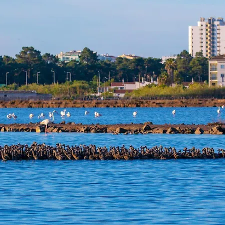 Appartamento Seasun Vacation - Ocean Monte Gordo